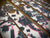 Cyber Glitch Rail Guards